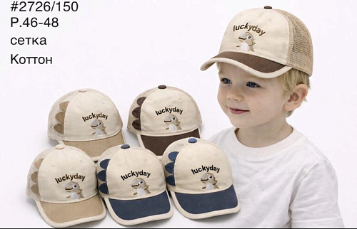Кепка Street Cap 2726-150 mix - делук