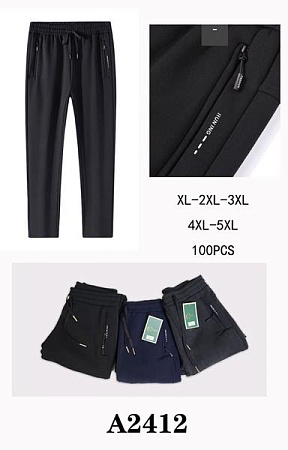 Штаны Спорт Giang A2412 black - делук