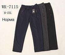 Штаны Спорт Hoan WK7115 navy - делук