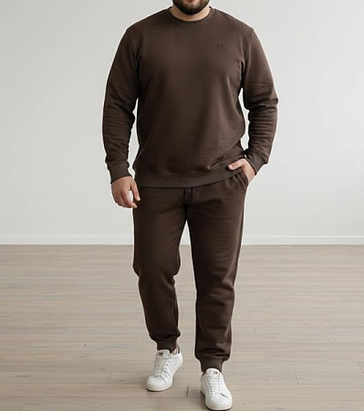 Костюм Спорт Zalov ZW1323 brown - делук