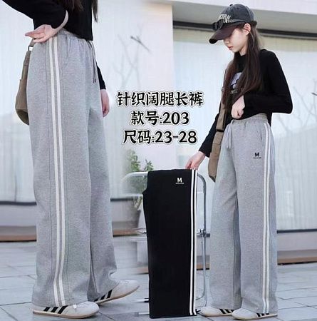 Штаны Спорт Chicwear 203 grey - делук