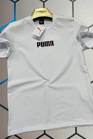 Футболка Alex Clothes 13089 white - делук