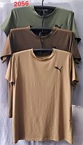 Футболка Van Truong 2056 camel - делук