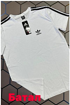 Футболка Alex Clothes 13121 white - делук