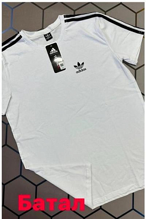 Футболка Alex Clothes 13121 white - делук