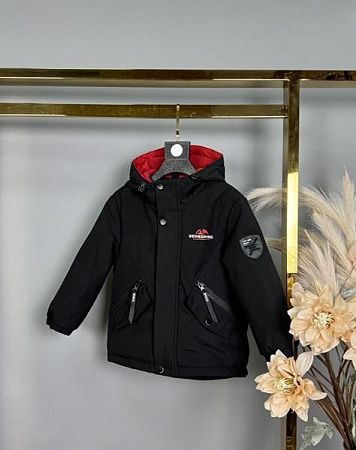 Куртка Delfinka B802 black - делук