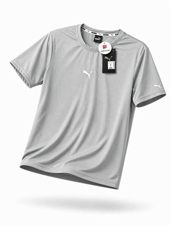 Футболка Alex Clothes 14565 grey - делук