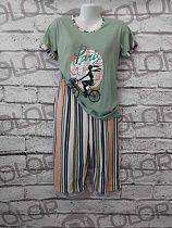 Костюм Dicolor DC31 mint - делук
