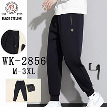 Штаны Спорт Hoan 2856 black - делук