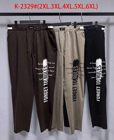 Штаны Saint Wish K2329 brown - делук