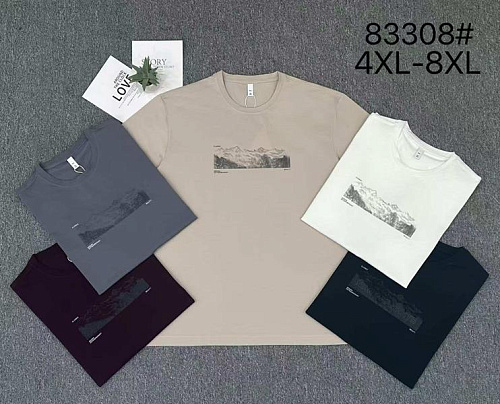 Футболка 2Bro 83308 white - делук