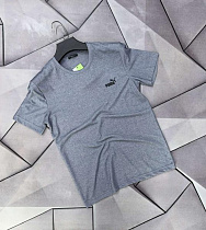 Футболка Rassul 66781 grey - делук