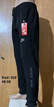Штаны Спорт Ayden 02-1 black - делук