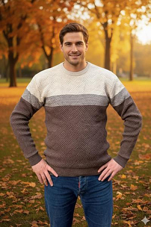 Свитер Vip Stendo 72178 brown - делук