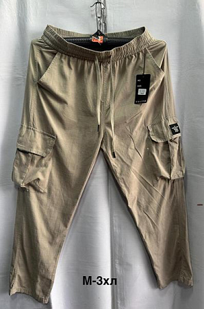 Штаны Спорт Minh 3005 beige - делук