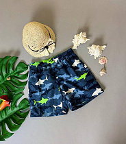 Плавки Dfk 6516 navy-green - делук