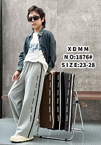 Штаны Спорт Farbique 1876 l.grey - делук