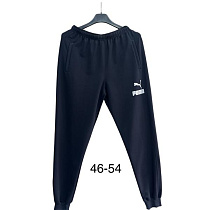 Штаны Спорт Tran TR721 navy - делук