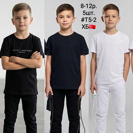 Футболка Amz T5-2 black-black - делук