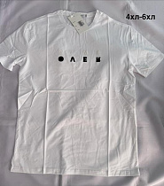 Футболка Minh MH999 white - делук