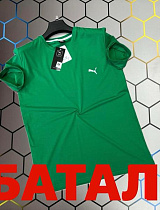 Футболка Alex Clothes 13405 green - делук