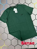 Футболка Alex Clothes 2599 green - делук