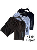 Шорты Tran TR1276 brown - делук