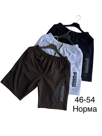 Шорты Tran TR1276 brown - делук