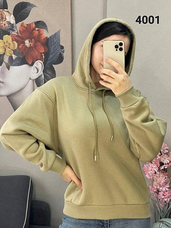 Худи Fsn 4001 mint - делук