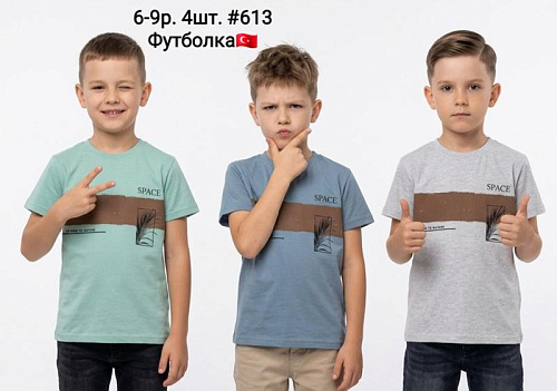 Футболка Amz 613 mint - делук