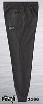 Штаны Спорт Azt AZ379-1166 grey - делук