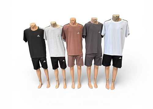 Костюм Essa E973 grey - делук