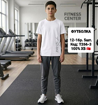 Футболка Ibambino T266-3 white - делук