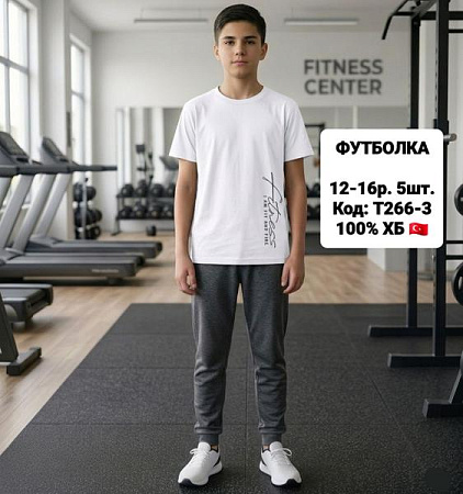 Футболка Ibambino T266-3 white - делук