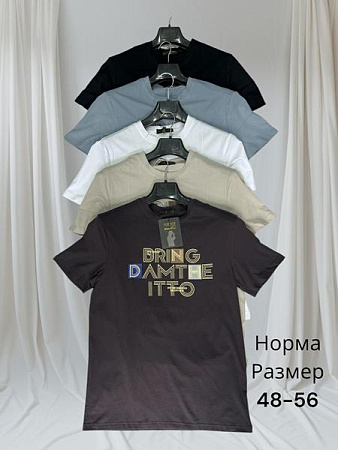 Футболка Hai H1479 l.grey - делук