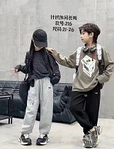 Штаны Спорт Chicwear 216 grey - делук