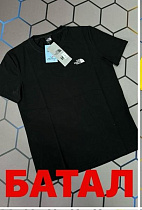 Футболка Alex Clothes 13117 black - делук