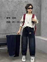 Джинсы Chicwear 830 navy - делук