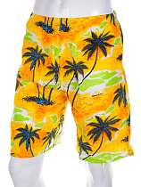 Шорты Meisty 777-10 blue - делук