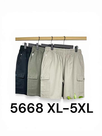 Шорты Liopt 5668 olive - делук