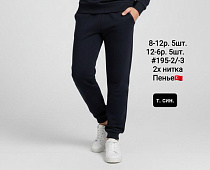 Штаны Спорт Amz 195-2 navy - делук
