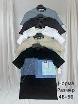 Футболка Hai H1413 d.grey - делук