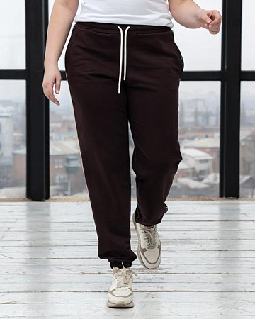 Штаны Спорт Azna Б64 chocolate - делук