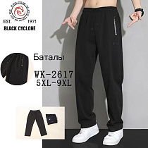 Штаны Спорт Giang G99-2617 navy - делук