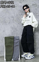 Штаны Farbique 612 green - делук