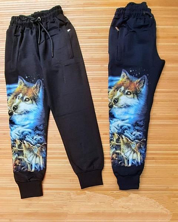 Штаны Спорт Meloria ML3539 navy - делук