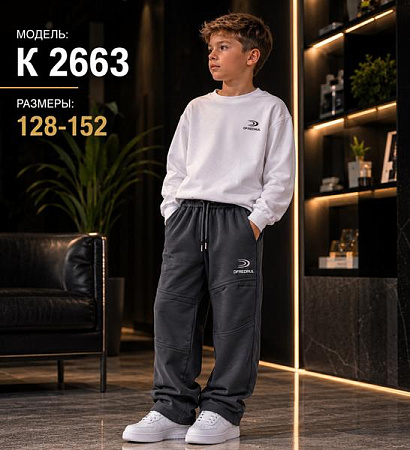 Штаны Спорт Major Kids K2663 d.grey - делук