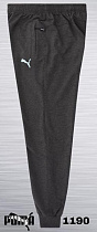 Штаны Спорт Azt AZ384-1190 d.grey - делук