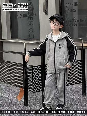 Костюм Спорт Delfinka 99018 grey - делук