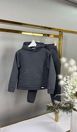 Костюм Спорт Delfinka 432-1 grey - делук